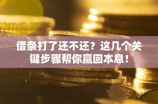 济南借条打了还不还？这几个关键步骤帮你赢回本息！