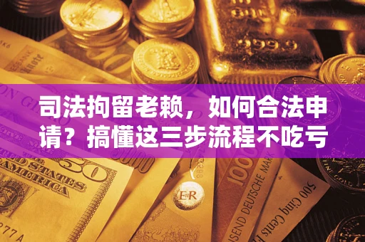 济南司法拘留老赖，如何合法申请？搞懂这三步流程不吃亏！