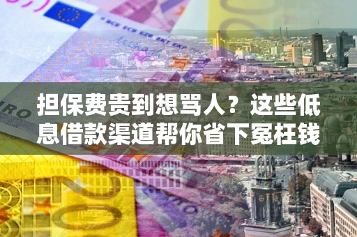济南担保费贵到想骂人？这些低息借款渠道帮你省下冤枉钱
