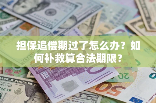 济南担保追偿期过了怎么办？如何补救算合法期限？