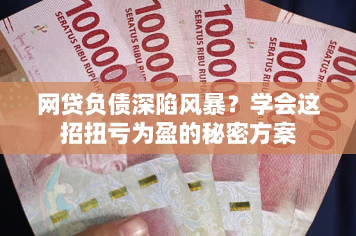 济南网贷负债深陷风暴？学会这招扭亏为盈的秘密方案